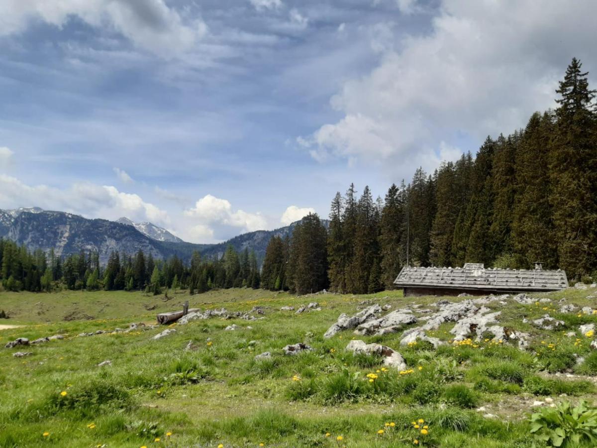 Vintage Kammerl Schonau am Konigssee Bagian luar foto