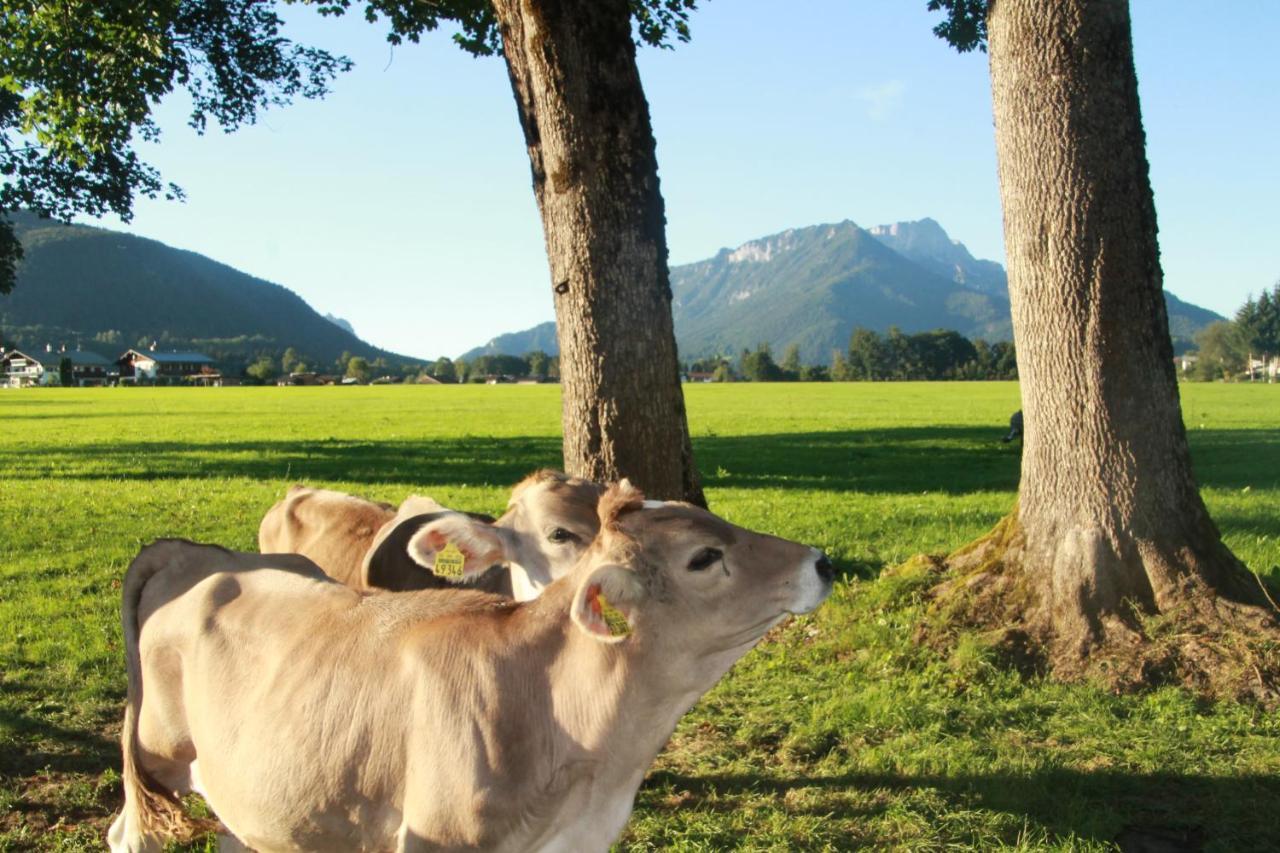 Vintage Kammerl Schonau am Konigssee Bagian luar foto